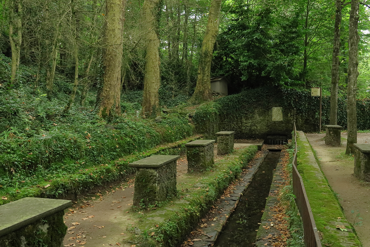 Fonts de la Moixina