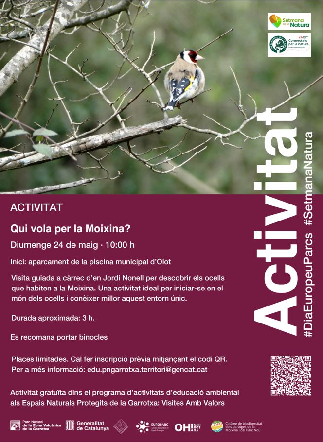 Qui vola per la Moixina?
