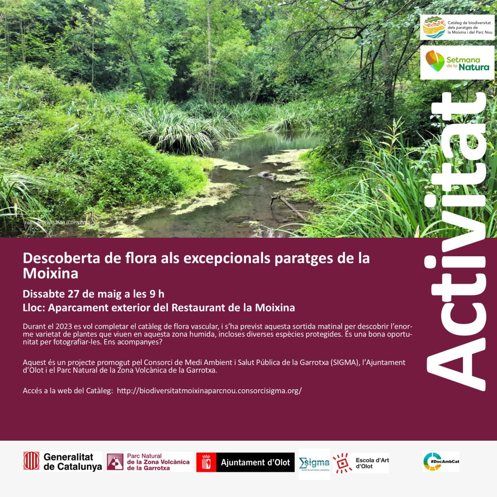 Descoberta de flora als excepcionals paratges de la Moixina